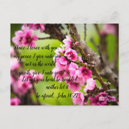 Cartão Postal Cartão-postal do Flor da Apple