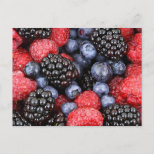Cartão Postal Cartão-postal do Forest Fruta
