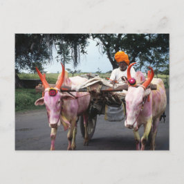 Cartão Postal Cartão-postal do Homem Indiano