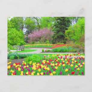 Cartão Postal Cartão-postal do Horário do Jardim Inglês