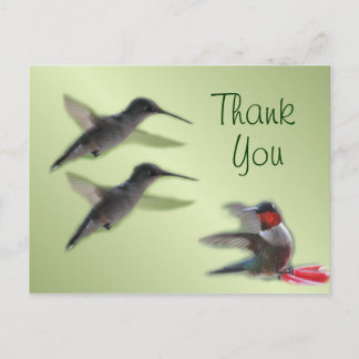 Cartão Postal Cartão-postal do Hummingbird Obrigado a qualquer o