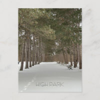 Cartão-postal do inverno em High Park, Toronto