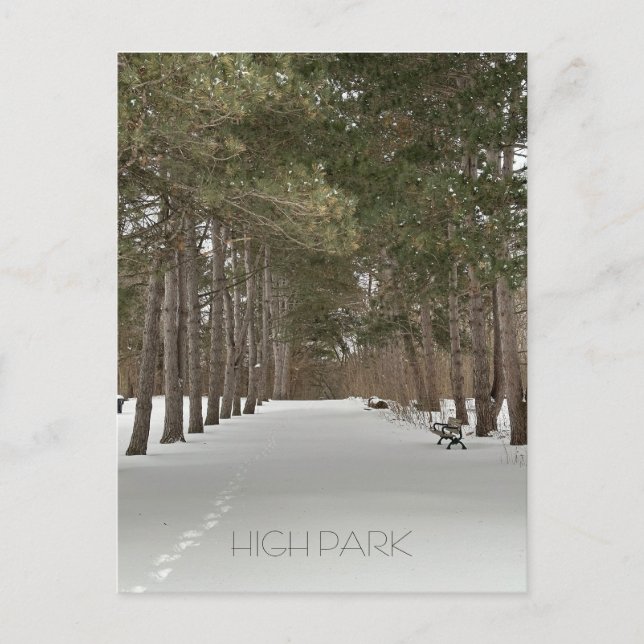 Cartão Postal Cartão-postal do inverno em High Park, Toronto (Frente)