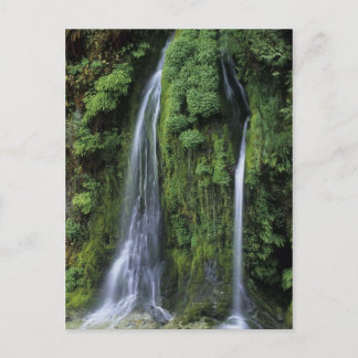 Cartão Postal Cartão-postal do Jardim do Éden