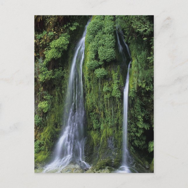 Cartão Postal Cartão-postal do Jardim do Éden (Frente)