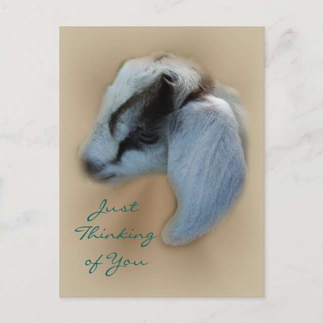 Cartão Postal Cartão-postal do Kid Goat- personalizar (Frente)