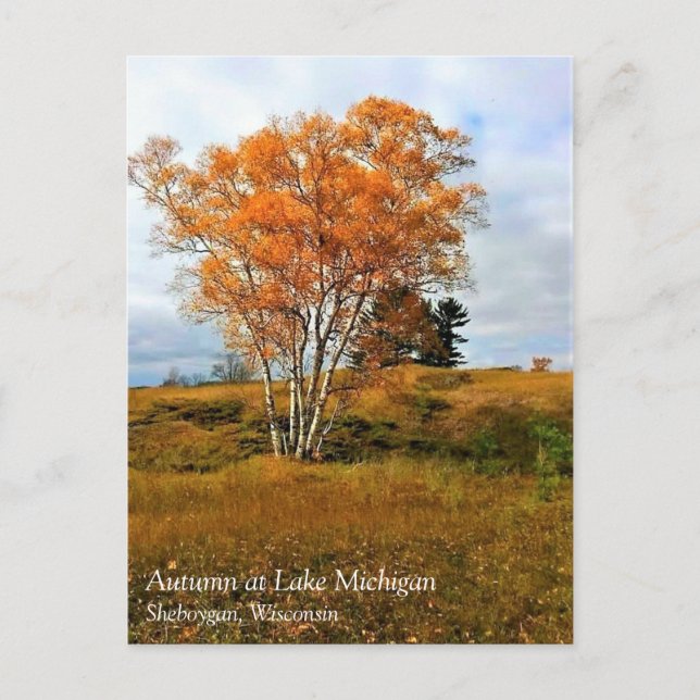 Cartão Postal Cartão-postal do Lago Michigan (Frente)
