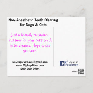 Cartão Postal Cartão-postal do Lembrete de Limpeza de Dentes