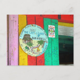 Cartão Postal Cartão-postal do Lizard preguiçoso no Caye Caukler