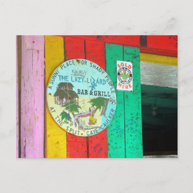 Cartão Postal Cartão-postal do Lizard preguiçoso no Caye Caukler (Frente)