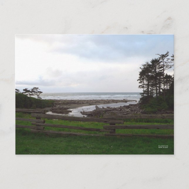 Cartão Postal Cartão-postal do Lodge Kalaloch (Frente)