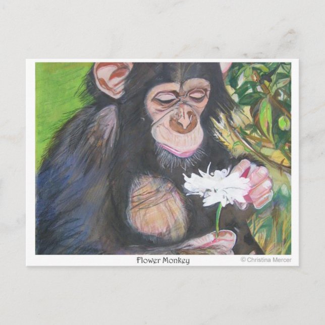 Cartão Postal Cartão-postal do macaco-flor (Frente)