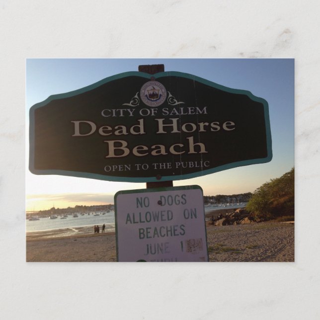 Cartão Postal Cartão-postal do MÃE Salem Sinal de Praia do Caval (Frente)