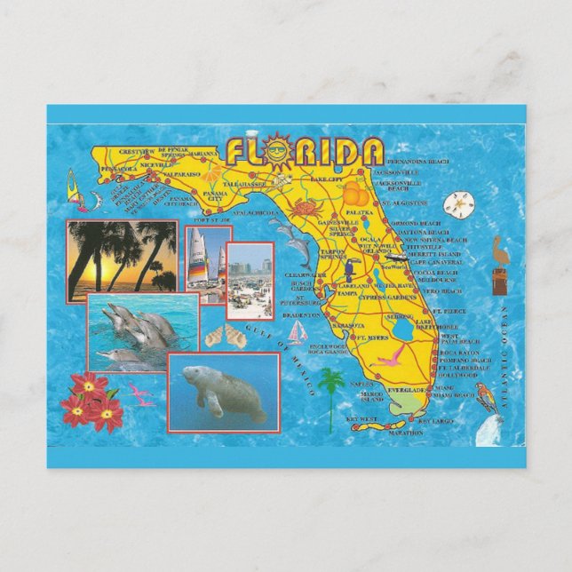Cartão Postal Cartão-postal do Mapa Estatal da Flórida (Frente)
