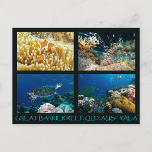 Cartão Postal Cartão-postal do Mar de Coral