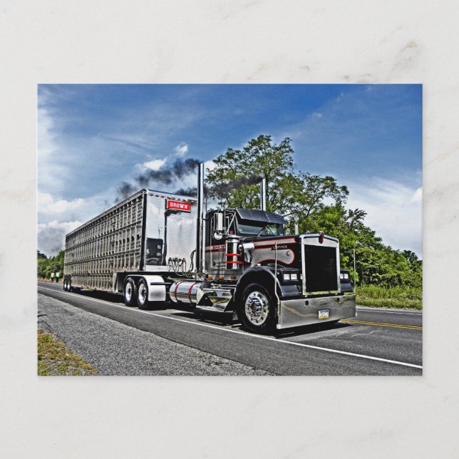 Cartão Postal Cartão-postal do modelo B de Brown (Frente)