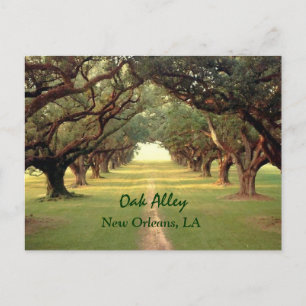 Cartão Postal Cartão-postal do Oak Beco New Orleans