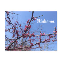 Cartão-postal do Oklahoma Redbud