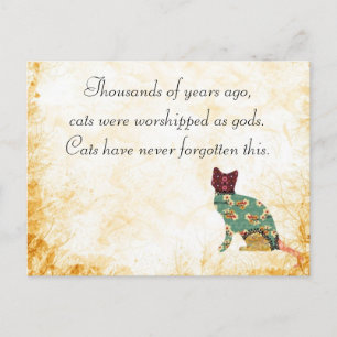 Cartão Postal Cartão-postal do Pacote de Patches do Cat