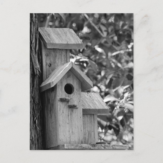 Cartão Postal Cartão-postal do país clássico (Frente)