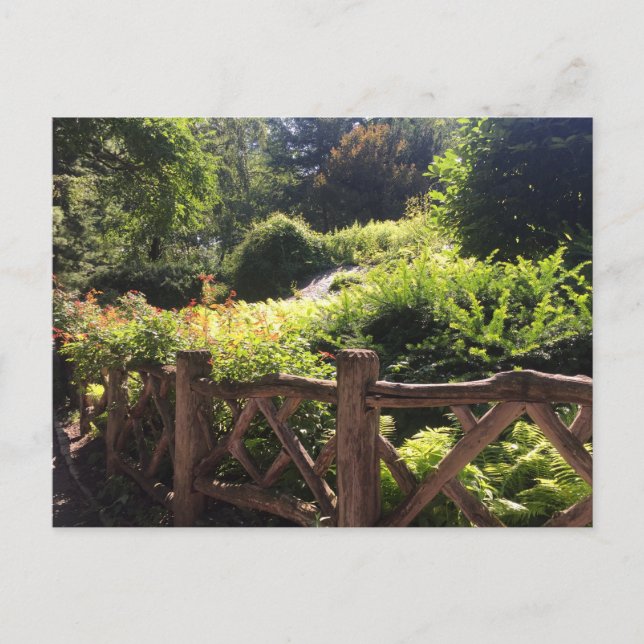 Cartão Postal Cartão-postal do Parque Central NYC do Jardim Shak (Frente)