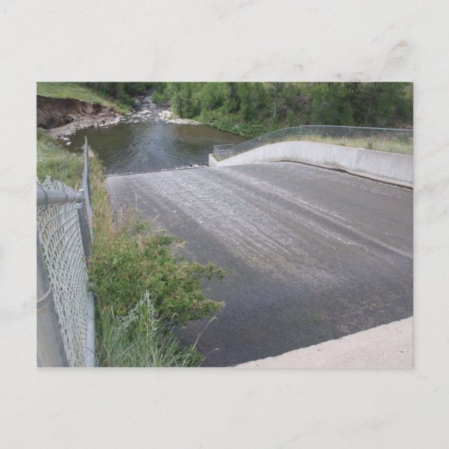 Cartão Postal Cartão-postal do Parque de Creek do Beaver Close-u (Frente)