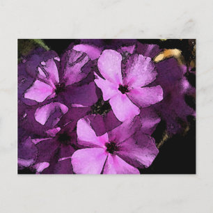 Cartão Postal Cartão-postal do Phlox Selvagem Rosa/Roxo