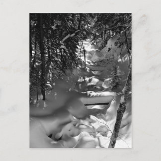 Cartão Postal Cartão-postal do Primavera de Mapeamento - 1