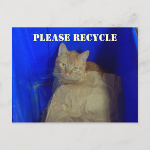 Cartão Postal Cartão-postal do Reciclar