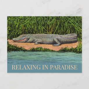 Cartão Postal Cartão-postal do Relaxado Gator da Flórida