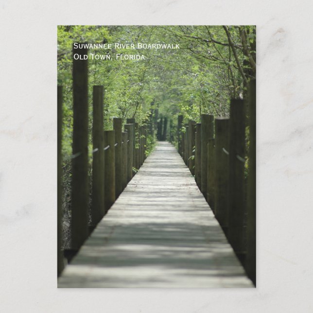 Cartão Postal Cartão-postal do Rio Boardwalk (Frente)