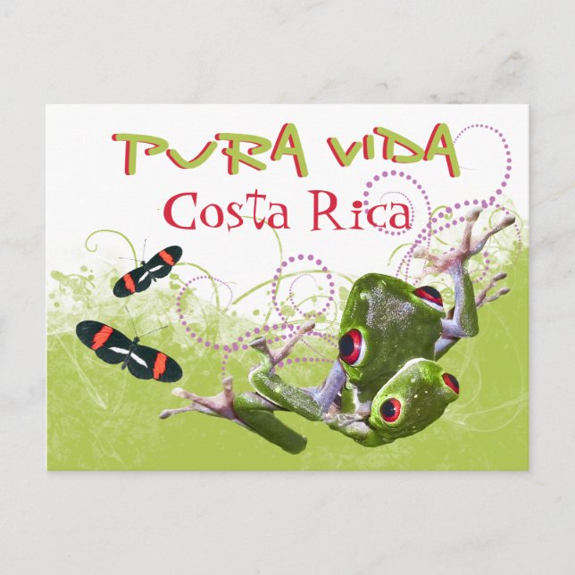 Cartão Postal Cartão-postal do Sapo Pura Vida (Frente)
