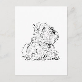 Cartão Postal Cartão-postal do Schnauzer Miniatura – Ilustração 
