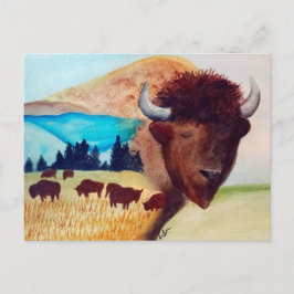 Cartão Postal Cartão-postal do Sonho de Buffalo