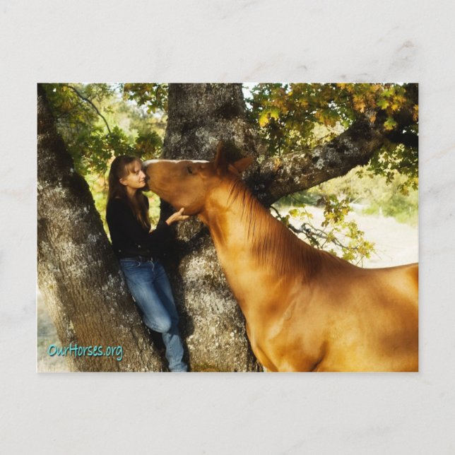 Cartão Postal Cartão-postal do Sundance (Frente)