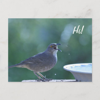 Cartão Postal Cartão-postal do Thrasher Splasher