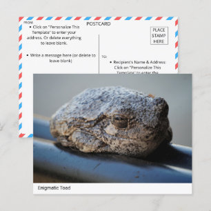 Cartão Postal Cartão-postal do Toad Enigmático