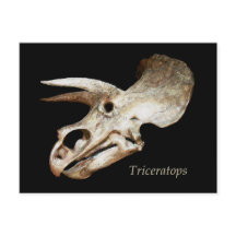 Cartão-postal do Triceratops Skull