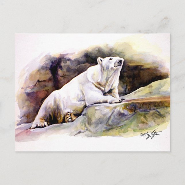 Cartão Postal Cartão-postal do Urso Polar em Descolagem (Frente)