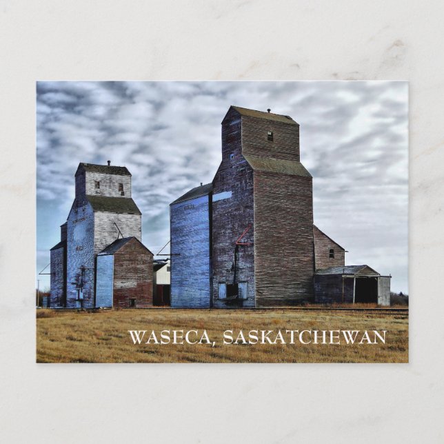 Cartão Postal Cartão-postal do Viagem da Prairie de outono do HD (Frente)