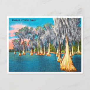 Cartão Postal Cartão-postal do Viagem de Imprensa da Flórida Cyp