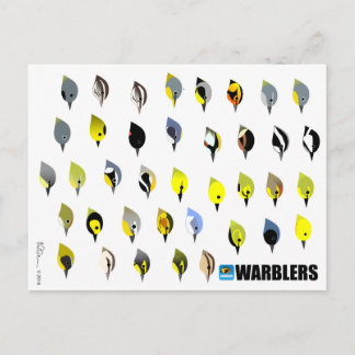 Cartão Postal Cartão-postal do Warbler BirdFace