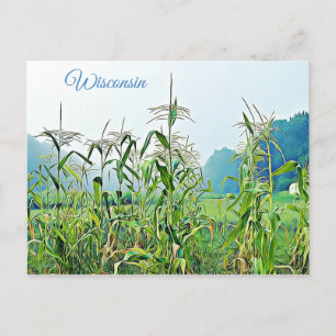 Cartão Postal Cartão-postal do Wisconsin Corn Stalks Midwest Ph