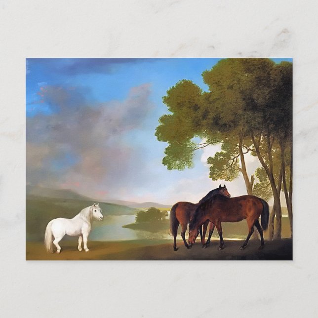 Cartão Postal Cartão-postal: Dois Baía Mare e um Pony Cinza (Frente)