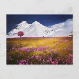 Cartão Postal Cartão-postal dos Alpes Snowy