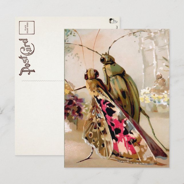 Cartão Postal Cartão-postal dos Insetos Vitorianos (Frente/Verso)