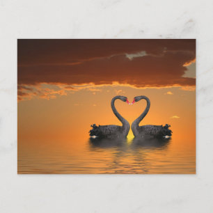 Cartão Postal Cartão-postal dos Swans Romances