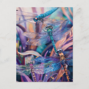 Cartão Postal Cartão-postal Dragonfly