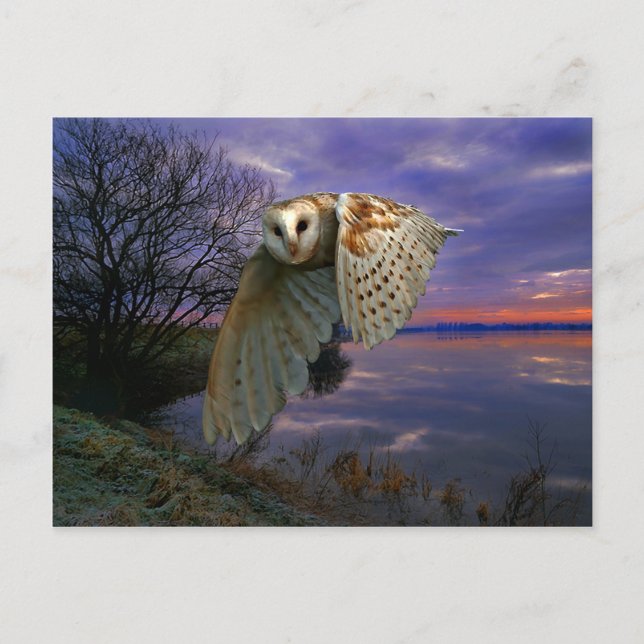 Cartão Postal Cartão-postal "Dusk" (Frente)