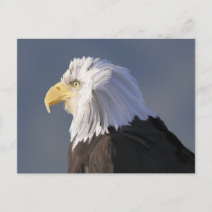 Cartão Postal Cartão-postal Eagle